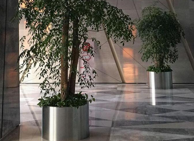 植木鉢のあたりのカスタマイズされたサイズの装飾的な磨かれたステンレス鋼