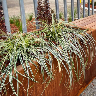 600mm 700mmの植林のための1000mm屋外の長方形の錫プランター