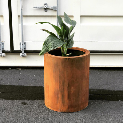 庭のためのCortenの鋼鉄プランターのあたりの花の錆ついた終わり
