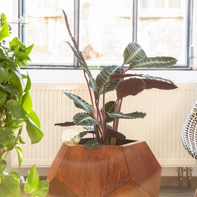 レーザーはCorten鋼鉄プランター庭の屋外の植木鉢を切った