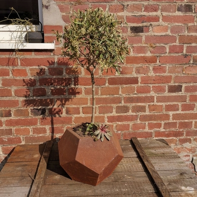 レーザーはCorten鋼鉄プランター庭の屋外の植木鉢を切った