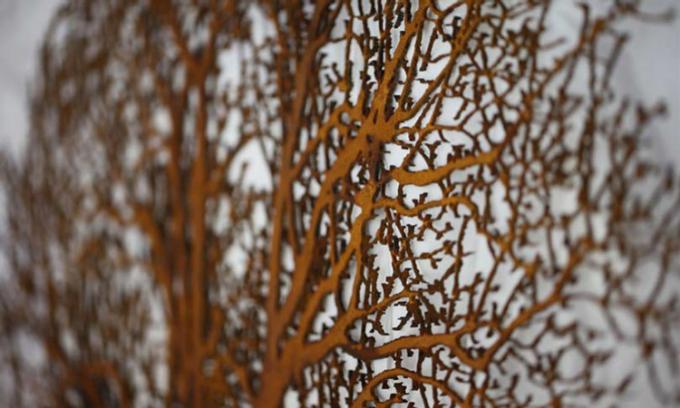 植物は現代美術のCortenの鋼鉄錆つかせた金属の庭の彫刻を彫る